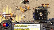 ��ʿְҵ�ļ��ܺ��츳Ӧ�����ѡ��